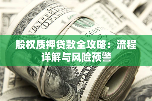 北京股权质押贷款全攻略：流程详解与风险预警