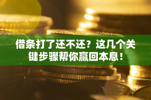 北京借条打了还不还？这几个关键步骤帮你赢回本息！