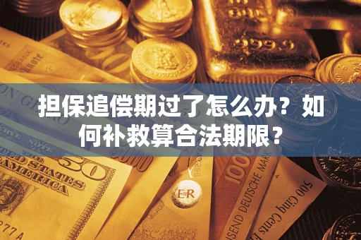 北京担保追偿期过了怎么办？如何补救算合法期限？