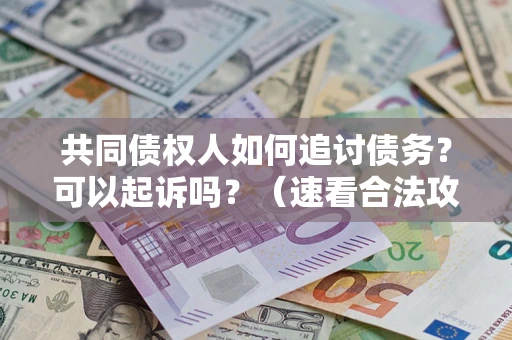 北京共同债权人如何追讨债务？可以起诉吗？（速看合法攻略）